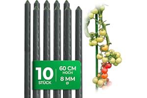 Novatool 10 Stück kleine Pflanzstäbe 60cm grün 8mm ⌀ stabil Metallrohr kunststoffummantelt Rankstäbe für Pflanzen Rankhilfe Gurken Tomatenstäbe für Kletterpflanzen Rankstab Pflanzstab 60 cm