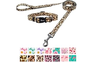 Olahibi Polyester Dog Collar Leash Set,Leopard Pattern Collar and 150CM Matching Lead for Large Dogs.(L, Leopard Set)