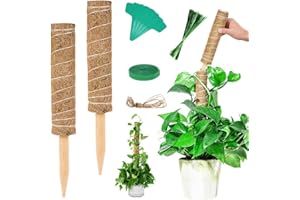 Vicloon Moosstab, 2 Stück 30CM Pflanzstab aus natürlicher Kokosfaser, mit 5 Pflanzenetikett, 1 Rolle Klettverschluss, 94 Seile, Kokosstab für Pflanzen und Rankhilfe Monstera