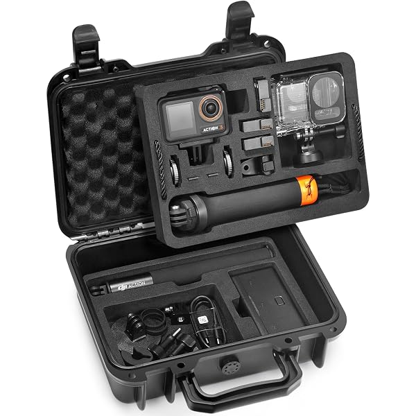 Étui à Dos Pour DJI RS 4 Mini - Protection EVA, Rangement Organisé Pour Stabilisateur Et Accessoires