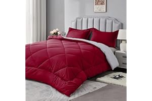 beeweed Piumone Letto Matrimoniale 450 gr/mq Invernale 220x240 cm - Reversibile Piumino Caldissimo 240x220, Trapunta in Microfibra Sintetica, 2 Federe(50x80cm)