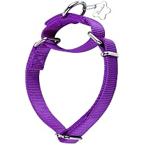 Martingal Halsband Für Hunde – Verstellbar, Robust & Perfekt Für Große & Kleine Hunde, 2,5 Cm Breit, In Dunkellila