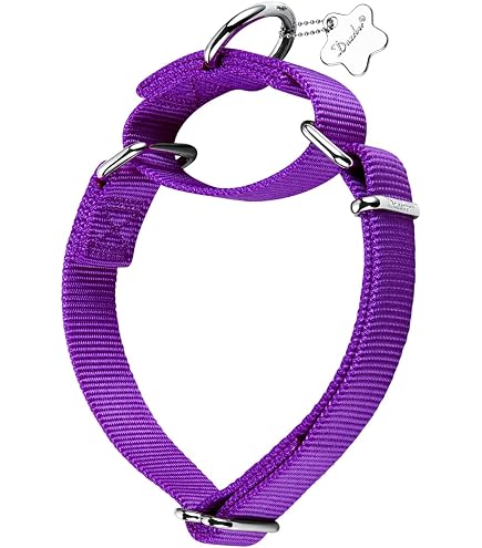 Dazzber Martingal-Hundehalsband – Verstellbar, 2,5 Cm Breit, Weiches Material – Für Große & Kleine Hunde (z.B. In Warmgrau)