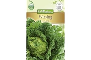 N.L. Chrestensen 4051 Wirsing Vorbote 3 (Wirsingsamen)