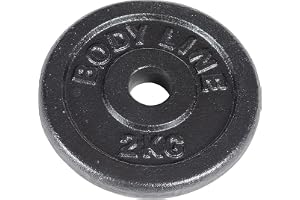 Bodyyline skivjärn