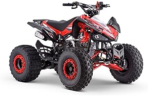 INDALCHESS MINIQuad Infantil 125cc Gasolina automático con Marcha atrás, Rojo, Motors ZXT (Solo para circuitos Cerrados)
