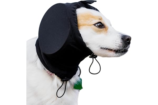 Safe Dogs Ears