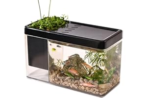 Biniveil Betta Aquarium | Transparent Fish Tank for Sea Monkeys, Shrimp, Snails