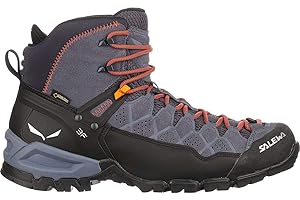 Salewa Ms Alp Trainer Mid Gtx - Buty do chodzenia Meżczyzni