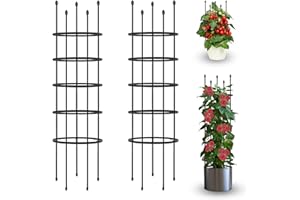 BAYINBROOK Tomaten Rankhilfe, Tomatenkäfig Rankhilfe Pflanzen, Rankhilfen für Kletterpflanzen, Pflanzenstütze Rankgitter, 160cm, Pflanzenstütze für Kletterpflanzen Tomaten Blumen Gemüse (2 Stück)