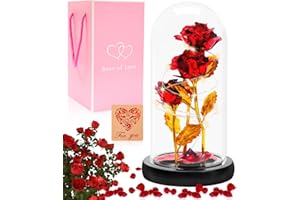 KURENY Ewige Rose im Glas, Rose Geschenke für Frauen, Die Schöne und Das Biest LED Licht Rosen im Glaskuppel Glitzer Rosen Geburtstags Geschenk für Frauen, Mama, Muttertagsgeschenke für Mama