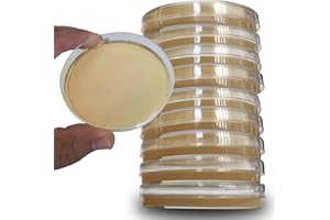 ES EVVIVA SCIENCES Potato Dextrose Agar Plates - Evviva Sciences - Prepoured Potato Dextrose Agar PDA Petri Dishes - Excellent Growth Medium - Great for Mushrooms & Science Fair Projects