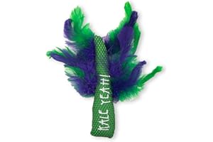 PETSTAGES Catstages Krazy Kale Dental Catnip Cat Chew Toy