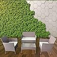 Mega Deals 4 Piece Rattan Garden Furniture Set | Outdoor Furniture Set | Patio table and chairs garden table set | Ideal for Pool Side, Balcony, Garden, Outdoor and indoor (Brown)