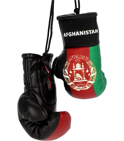 Dynamix Athletics Autospiegel Mini bokshandschoenen