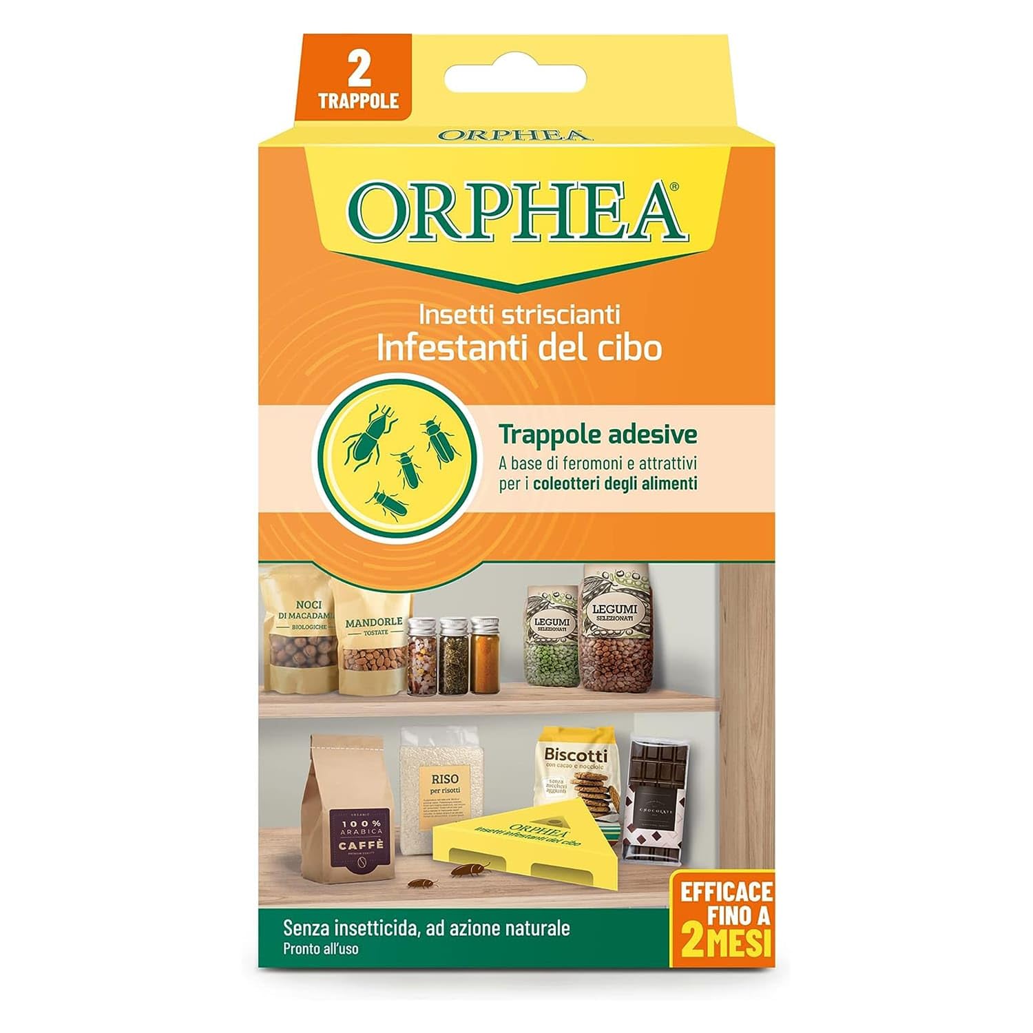 Orphea - Antitarme Alimentare, Elimina i Coleotteri degli Alimenti e ne Previene lo Sviluppo, Senza Insetticida, Inodore Azione Naturale, 2 Trappole Adesive