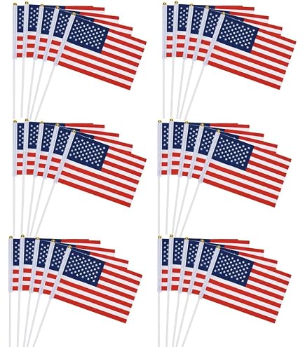 Lot De 30 Mini Drapeaux Portables - 14x21 Cm, Tige 30 Cm - Multicolore - Pour Défilés, Fêtes, Décorations