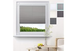 WOLTU Plissee Klemmfix ohne Bohren 75x220cm (BxH) Grau Faltrollo Plisseerollo mit Klemmträger Lichtdurchlässig, Jalousie Sichtschutz und Sonnenschutz Easyfix Rollo für Fenster & Tür