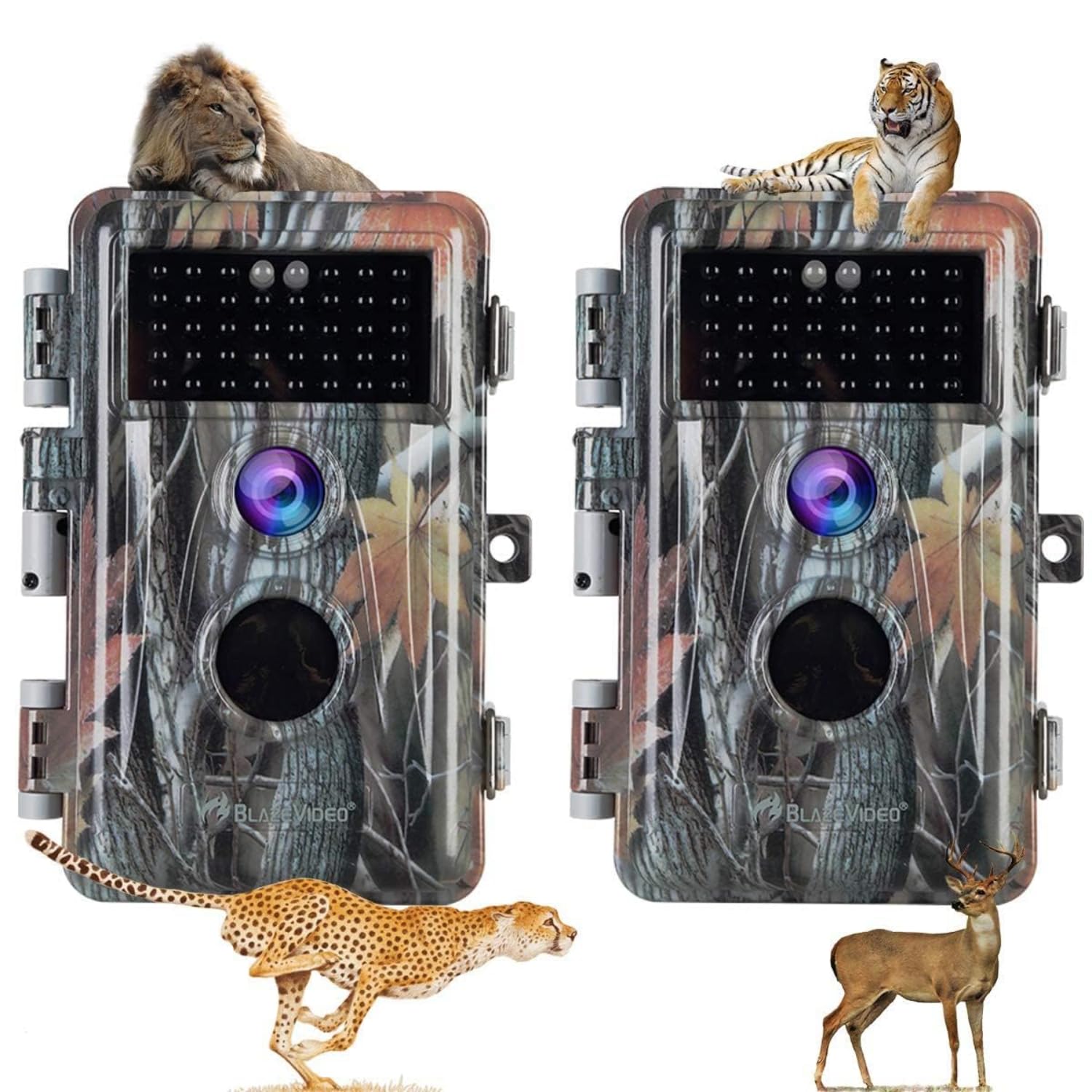 BlazeVideo HD Trail Cameras Review: Perfect for Wildlife and Hunting