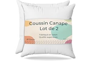 FLOWEN Coussin Canape 35x35 Lot de 2 Oreillers Decoratif Accessoires pour Sofa Decoration Aesthetic pour Salon et Exterieur Antiallergiques et Anti-Acariens avec Taie d'oreiller en Coton et Polyest.