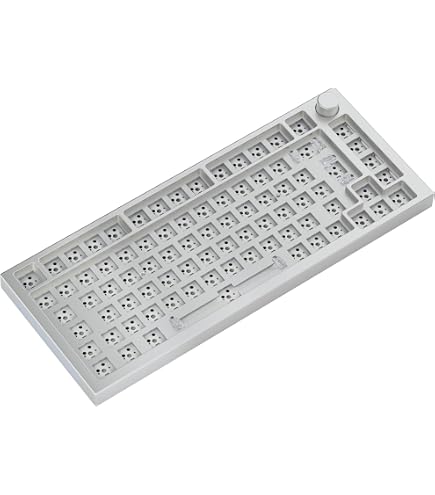 Glorious Gaming - Touches GPBT Aura RGB : capuchons Pudding, PBT doubleshot, translucides, blanc, pour claviers mécaniques custom formats 100, 75, 65 et 60%, ANSI, ISO, disposition allemande QWERTZ