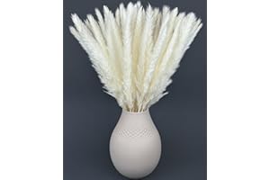 Nina-Maria's Deko Gold Pampas secas de decoración Blancas – 15 Piezas de 45 cm - Ramos de Flores Naturales para jarrón – Flores secas de decoración Boho hogar – Ramilletes Blancos Aesthetic para Mesa