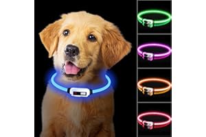 TENXSNUG Collare Luminoso per Cani Ricaricabile Type-C, LED Collare per Cani Regolabile e Impermeabile con 3 Modalità per Cani di Taglia Piccola Media Grande, Alta Visibilità e Sicurezza, Blu