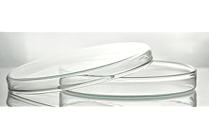 Witeg 5 830 007 W Boîtes de Petri avec couvercle Diamètre 150 x 20 mm, Verizon, Sprint, Ensemble complet, verre borosilicate 3.3