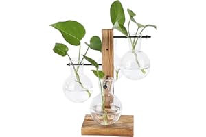 Asixxsix Terrarios de Plantas con Soporte de Madera, Jardinera de Aire hidropónica de sobremesa Retro con Vaso de Cristal de 4 Bombillas para propagar Plantas hidropónicas
