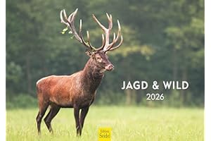‎EDITION SEIDEL Edition Seidel Premium Kalender Jagd und Wild 2026 Format DIN A3 Wandkalender Tierkalender Wildtier Waldtier Wild Hirsch Wildschwein Ente Wald Jagd Revier