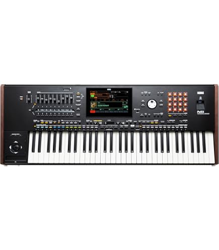 KORG Pa600 Professional Arranger Keyboard : Buy Online at Best