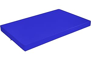 SuperKissen24. Matelas Coussin Dossier pour Palette Canapé 120x80 cm - Intérieur/Extérieur – imperméable – Mousse - Bleuet