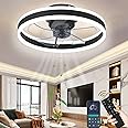 Wildcat Ceiling Fans with Lights, LED Light Fan, 3 Color Temperatures (3000-6500K) and 6 Speeds Fan Light, Quiet Lamps for Living Room, Dining Bedroom, Office, Black, 50CM (BY-601-500-2)