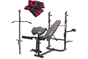 HS HOP-SPORT HOP-SPORT® Banc de Musculation Pliable Inclinable avec Poulie Haute, Banc d'entraînement Complet, Support d'haltères et Presse à Jambes, Multifonction pour Le Développé Couché avec Papillon au Choix