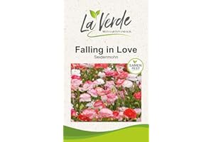 LA VERDE MEIN GARTEN UND ICH. Seidenmohn Falling in Love Blumensamen