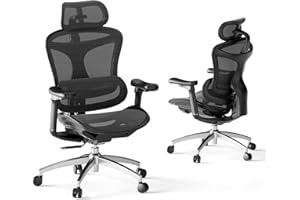 SIHOO Doro C300 Ergonomic Office Chair with Ultra Soft 3D Armrests, Dynamic Lumbar Support for Home Office, Adjustable Backrest Desk Chair (Black)