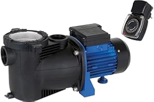 T.I.P. TIP Bomba de Filtro para Piscina SPP 600 FT con Temporizador (600 W, 13.000 l/h, Altura de extracción, presión máxima: 12 m, 1,2 Bar, Incluye prefiltro Integrado y Conexiones de Manguera)