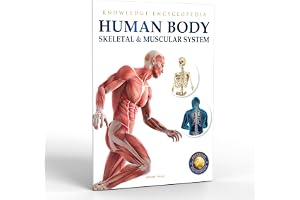 Human Body - Skeletal And Muscular System: Knowledge Encyclopedia For Children