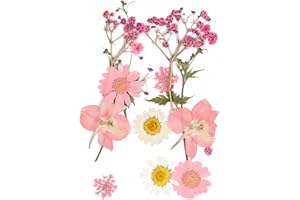 QianFenShi 12 Stück Natürliche Trockenblumen,Gepresste Blumen zum Basteln,Getrocknete Blumen,Getrocknete Blüten,Gepresste Blüten,Blumen Getrocknet,für Kunst Basteln,DIY,Scrapbooking (Rosa Stil)