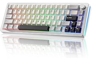 YUNZII AL66 Teclado Mecánico Inalámbrico,65% Control de Perilla Teclado de Aluminio para Juegos Bluetooth/2.4G/Cableado Interruptores Hot Swappable con RGB para Win/Mac(Interruptor de Leche, Plata)