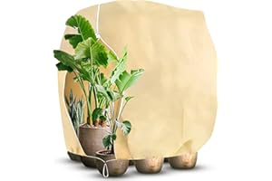 Gutepa Winterschutz für Pflanzen, 200x240 cm Frostschutz Pflanzen Abdeckung, Pflanzenschutz Winter Draußen für Kübelpflanzen, Olivenbaum, Palmen mit Reißverschluss, Reißfest Wiederverwendbar Beige