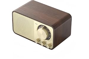 BORDEAG Retroradio med Bluetooth, nostalgi radio liten, 5 watts högtalare, vintage bagageradio med AUX/USB, TF-kortplats, för kök, sovrum, kontor