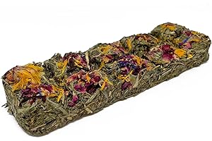 Reptile World Tortoise Forage Treat Bar - Flower 1pk | 100% Natural Botanical Treat for Tortoises & Reptiles, Boredom Busting Enrichment