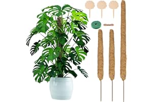 QMCAHCE 3Pack Moss Pole for Plant Monstera, 24-40Inch Adjustable Plant Support Sticks, Bendable Support Stakes for Indoor Plant, Coir Totem Coir Pole for Plants Climbing, Train Creeper Plants Grow