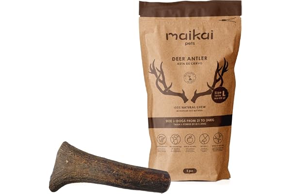 Bois de Cerf pour Chien Taille L Corne Mastication Naturel Longue Durée Jouet a Macher Favorise l´Hygiéne Dentaire et Améliore Cueilli dans la Nature 21-34 kg – Maikai