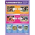 Skills in Sport | PE Posters | Laminated Gloss Paper measuring 850mm x 594mm (A1) | Physical Education Charts for the Classroom | Education Charts by Daydream Education
