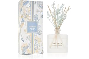 Airkeep Difusor de Aromas Bruma Oceánica y Sal Marina 170ml, Ambientador Hogar Presentado en una Botella Mate, es el Regalo Ideal Difusor de Fragancia para Baño, Apartamento, decoración del Hogar