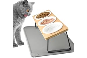 Lannvan Katzennapf Erhöht - 3er Set Futternapf aus Keramik mit Napfunterlage Silikon - 15° gekippte Futterstation Hundenapf - Fressnapf und Wassernapf für Katzen und kleine Hunde