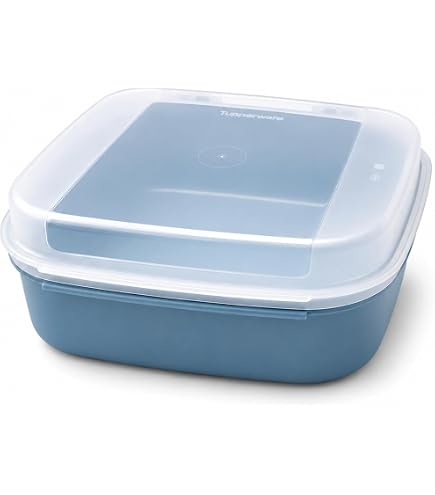 Tupperware Deli Fleisch- oder Käsebehälter, Slim Line, 22,9 x 12,7 cm, Aquablau Küche, Haushalt & Wohnen