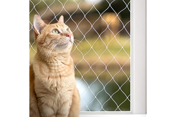 lionto Filet de Protection pour Balcon pour sécuriser Les Chats, Nylon Transparent 4x10 m, résistant aux intempéries pour Installation sans perçage, matériel de Montage et Instructions Inclus